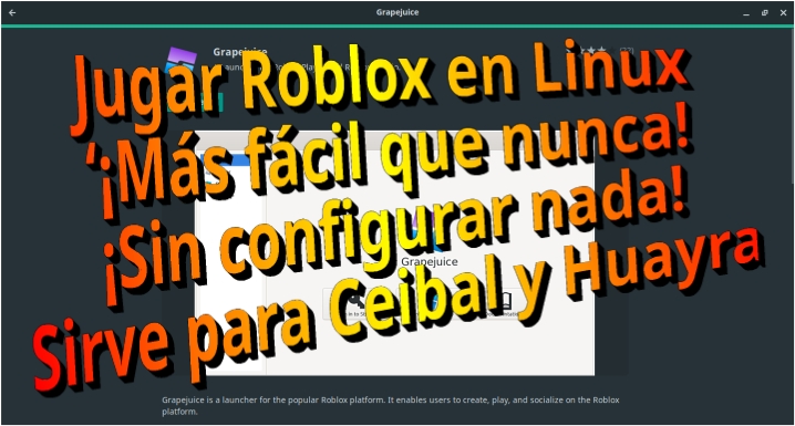 Roblox: ¿Qué es y para qué sirve?